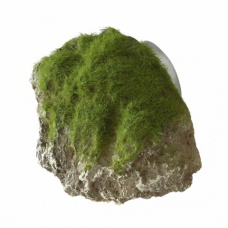AQUA DELLA Декоративный камень с мхом для аквариума "Moss Stone"